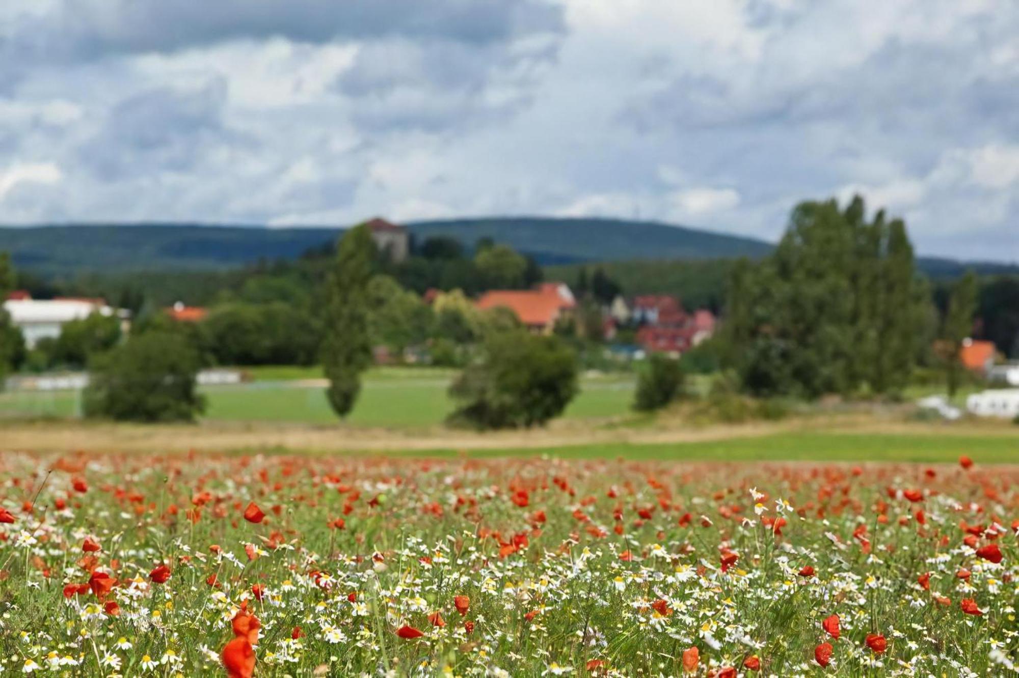 ハルツゲローデFerienhaus In Kleiner Ferienanlage Mit Vielen Freizeitmoeglichkeitenアパートメント エクステリア 写真